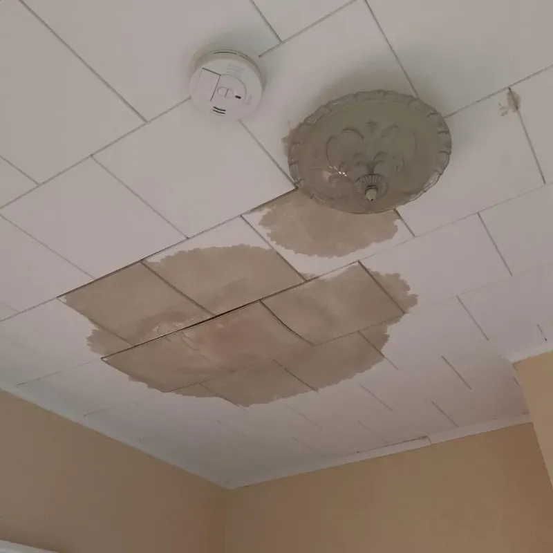 Ceiling Water Damage Repair in Old Jefferson, LA