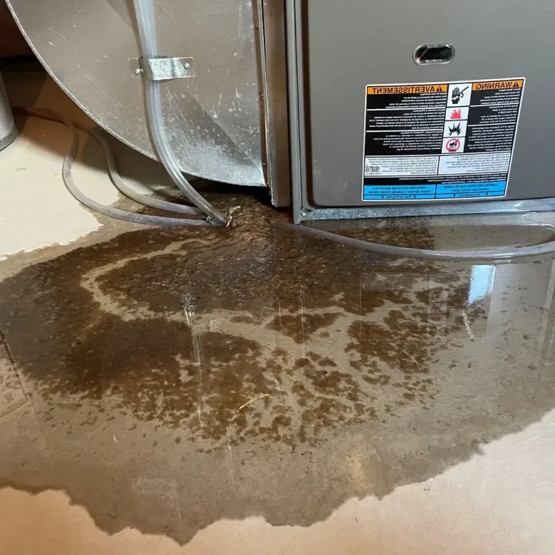 Pipe Burst and Leak Restoration in Old Jefferson, LA